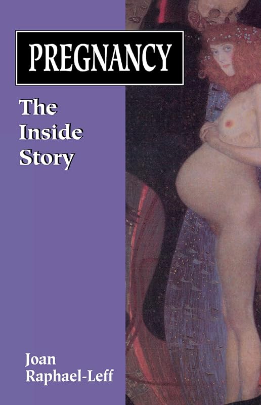 Pregnancy: The Inside Story (The Master Work Series) by Joan Raphael-Leff
