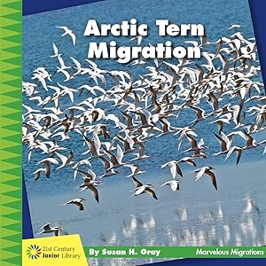 Arctic Tern Migration (21st Century Junior Library: Marvelous Migrations)