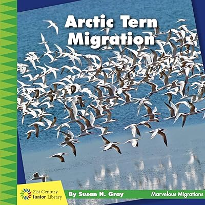 Arctic Tern Migration (21st Century Junior Library: Marvelous Migrations)