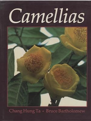 Camellias