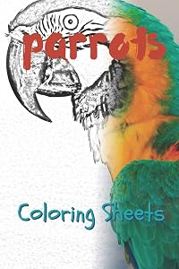 Parrot Coloring Sheets: 30 parrot drawings,coloring sheets adults relaxation, coloring book for kids, for girls, volume 8