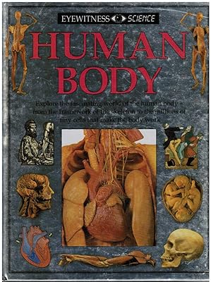 Human Body (Eyewitness Science)
