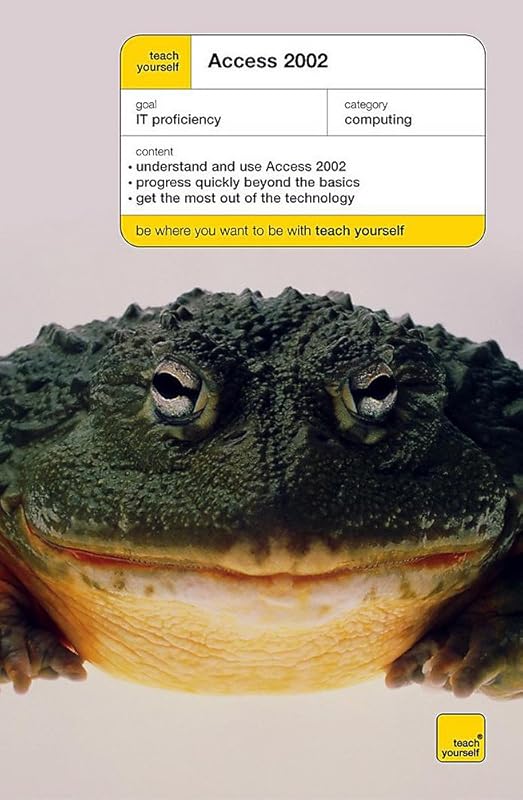 Teach Yourself Access 2002 by Moira Stephen
