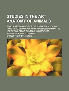 Studies in the art anatomy of animals; being a brief analysis of the visible forms of the more familiar mammals and birds designed for the use of ... illustrators, naturalists, and taxidermists