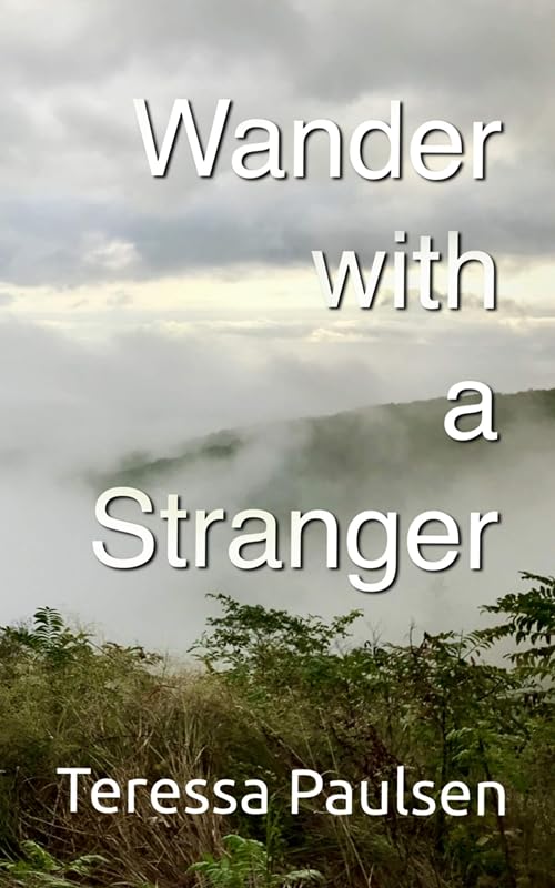 Wander with a Stranger by Teressa Paulsen