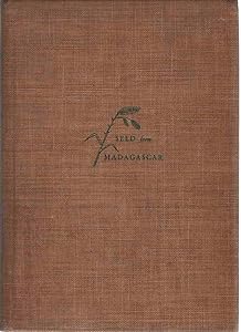 Seed from Madagascar by Duncan Clinch Heyward