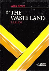 Notes on The Waste Land: The Waste Land (York Notes) by Alasdair D.F. MacRae
