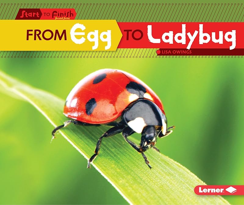 From Egg to Ladybug (Start to Finish, Second Series) by Lisa Owings