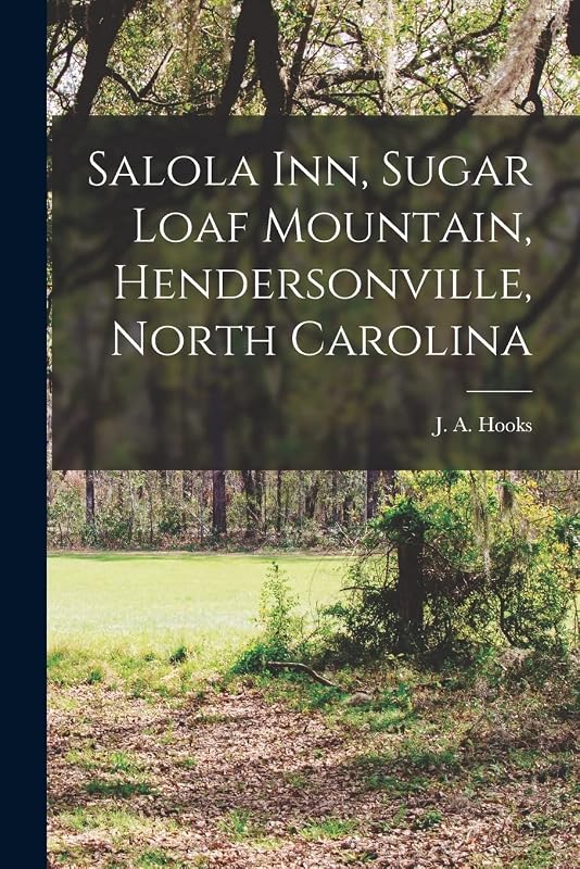 Salola Inn, Sugar Loaf Mountain, Hendersonville, North Carolina by J a (John Augustus) Hooks