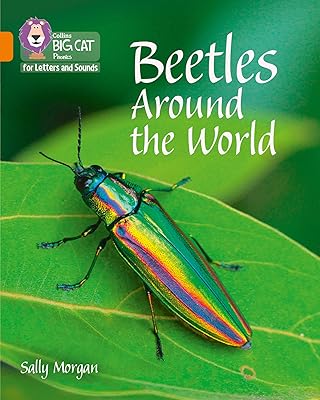 Collins Big Cat Phonics for Letters and Sounds – Beetles Around the World: Band 06/Orange