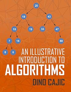 An Illustrative Introduction to Algorithms by Dino Cajic