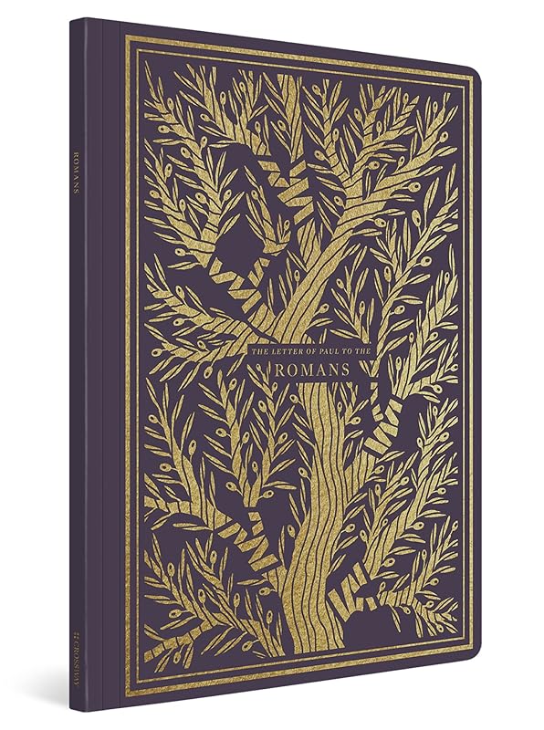 ESV Illuminated Scripture Journal: Romans by ESV Bibles