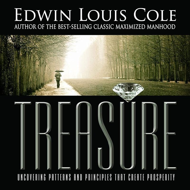 Treasure: Uncovering Patterns & Principles That Create Prosperity by Edwin Louis Cole