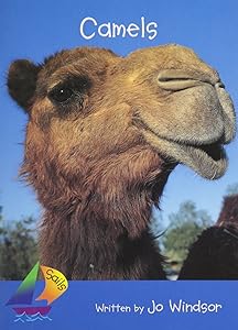 Camels: Leveled Reader (Rigby Sails Literacy, Early (3))