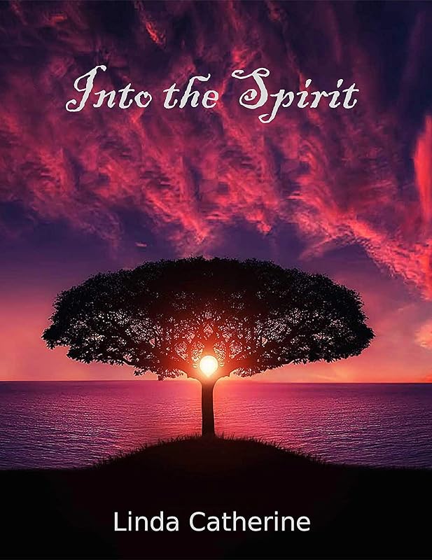 Into the Spirit by Linda Catherine