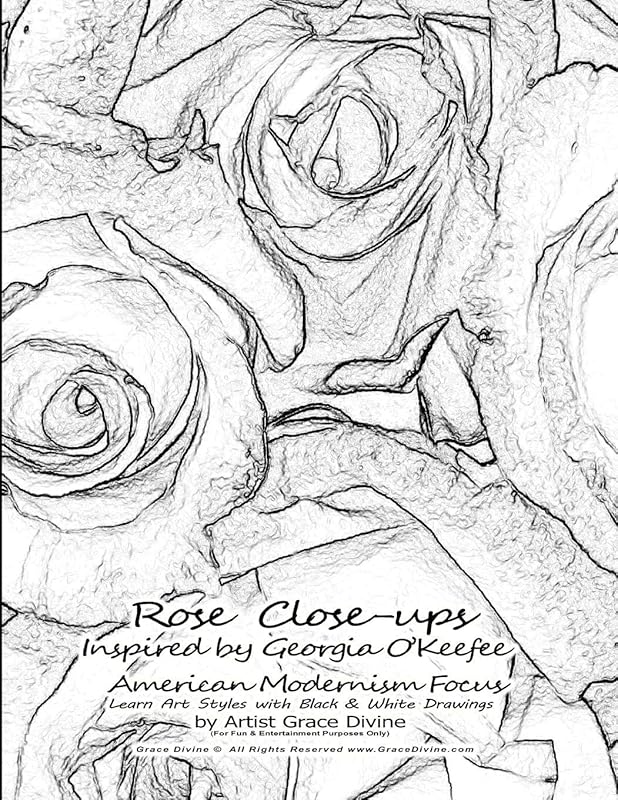 Rose Close-ups Inspired by Georgia O’Keefee American Modernism Focus Learn Art Styles with Black & White Drawings by Artist Grace Divine by Grace Divine