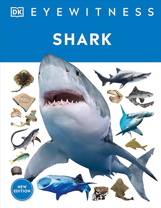 Eyewitness Shark: Dive into the fascinating world of sharks (DK Eyewitness) by DK