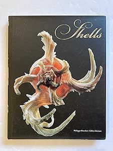 Shells by Philippe Bouchet