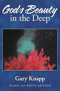 God's Beauty in the Deep by Gary Knapp