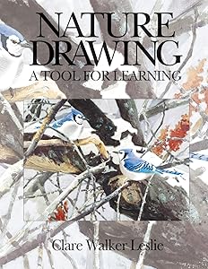 Nature Drawing: A Tool for Learning
