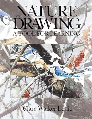 Nature Drawing: A Tool for Learning