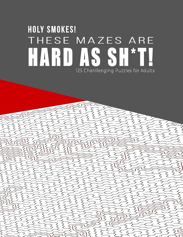 HOLY SMOKES! These Mazes are HARD AS SH*T! - 125 Challenging Puzzles for Adults: Perfect activity to relax after a long day at the office. Brain Games For Master Puzzlers ONLY! by Ashley's Hard Mazes Puzzles for Adults Notebooks