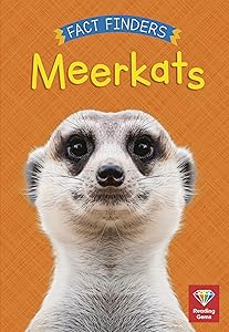 Meerkats (Fact Finders: Reading Gems, Level 1)