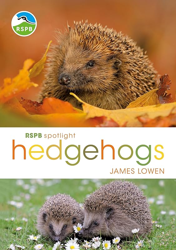RSPB Spotlight Hedgehogs by James Lowen