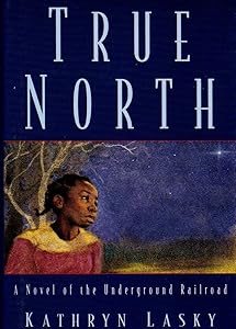 True North: A Novel of the Underground Railroad