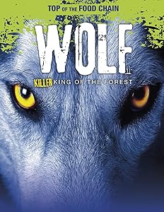 Top of the Food Chain: Wolf: Killer King of the Forest