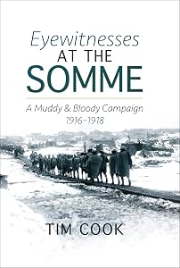 Eyewitnesses at the Somme: A Muddy and Bloody Campaign, 1916–1918 by Tim Cook