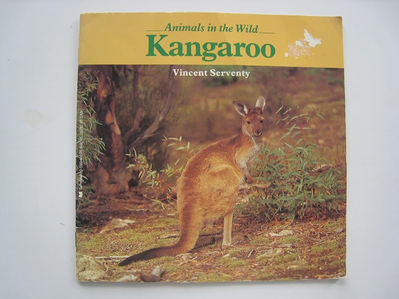 Kangaroo (Animals in the Wild) by Vincent Serventy