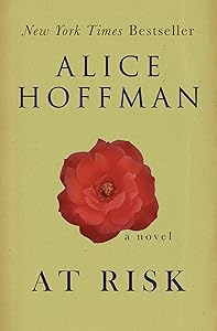 At Risk: A Novel