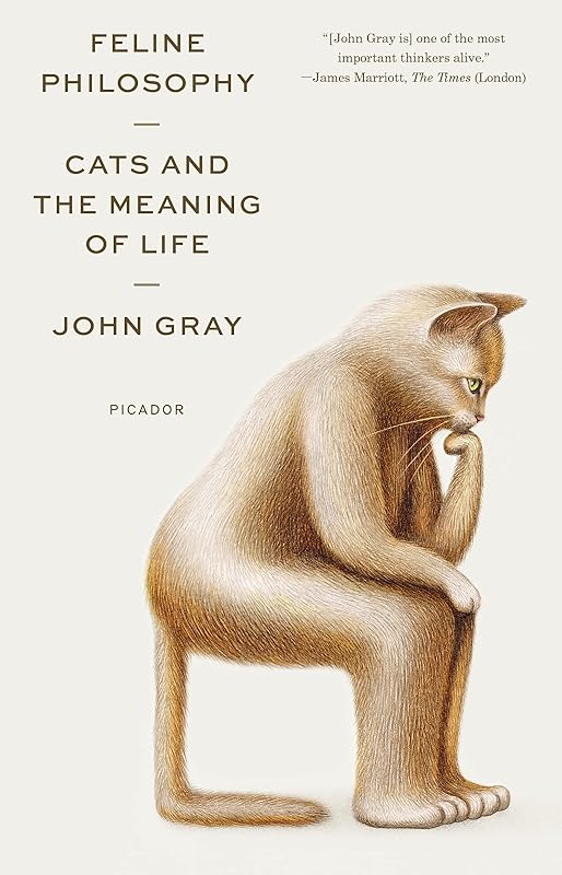 Feline Philosophy by John Gray