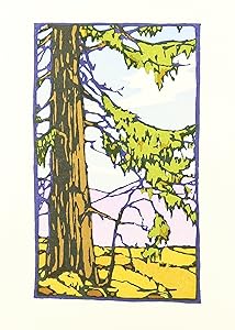 California Redwood: Boxed Set of 6 Cards