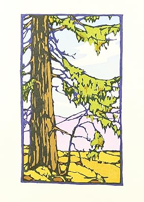 California Redwood: Boxed Set of 6 Cards
