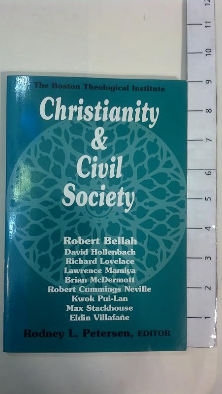Christianity and Civil Society: Theological Education for Public Life (Boston Theological Institute Annual) by Rodney Peterson