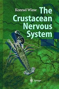 The Crustacean Nervous System
