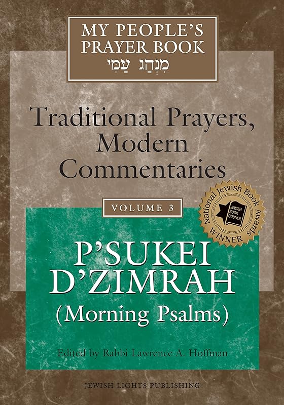My People's Prayer Book Vol 3: P'sukei D'zimrah (Morning Psalms) by Rabbi Lawrence A. Hoffman PhD
