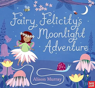 Fairy Felicity's Moonlight Adventure (Alison Murray Glitter Books)