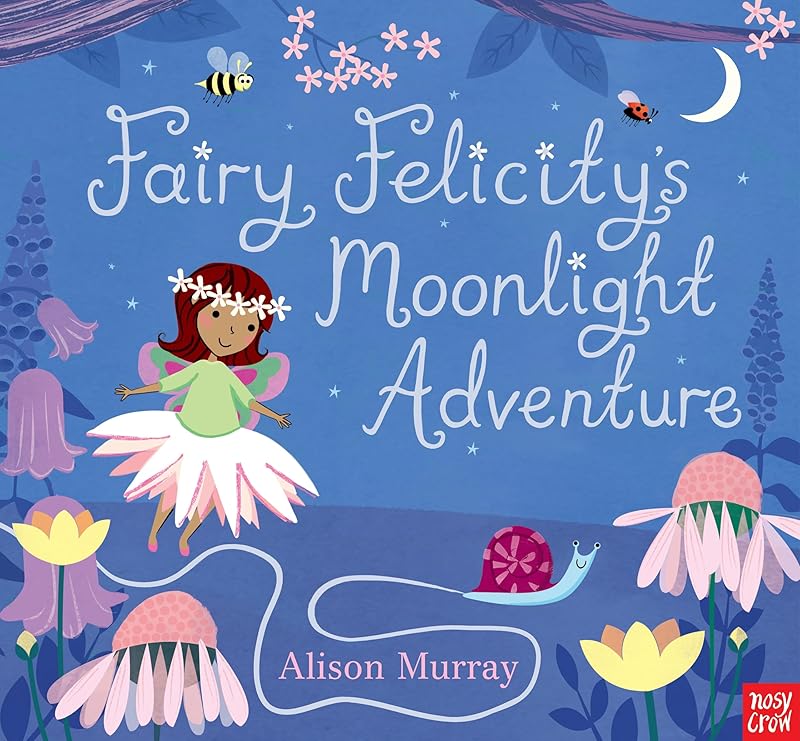 Fairy Felicity's Moonlight Adventure (Alison Murray Glitter Books) by Alison Murray