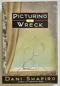 Picturing the Wreck by Dani Shapiro