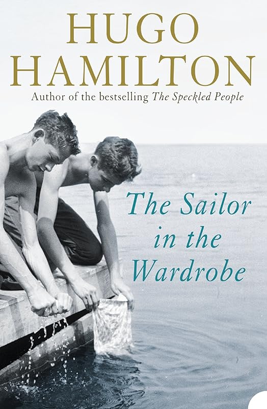 The Sailor in the Wardrobe by Hugo Hamilton
