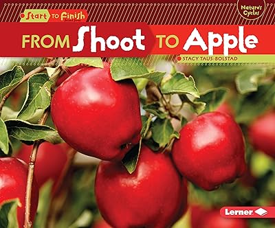 From Shoot to Apple (Start to Finish, Second Series)