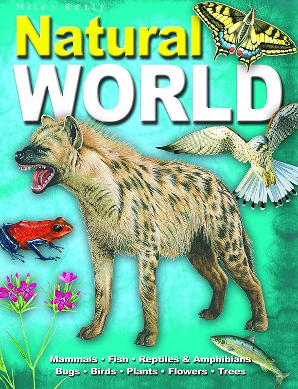 Natural World by Duncan Brewer
