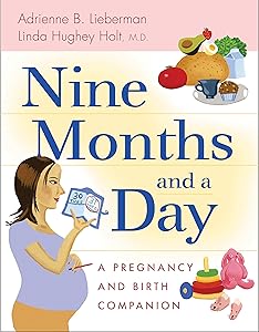 Nine Months and a Day: A Pregnancy and Birth Companion (Non) by Adrienne B. Lieberman