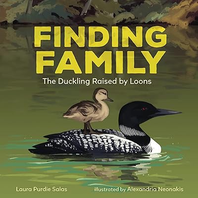 Finding Family: The Duckling Raised by Loons