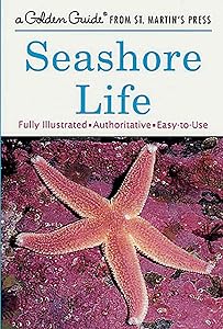 Seashore Life (A Golden Guide from St. Martin's Press) by Lester Ingle