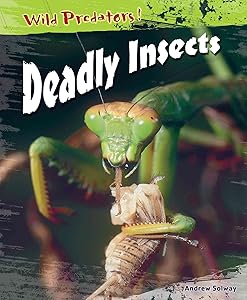 Deadly Insects (Wild Predators) by Andrew Solway
