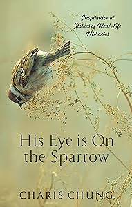 His Eye Is on the Sparrow: Inspirational Stories of Real Life Miracles by Charis Chung